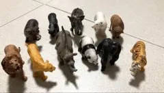 動物フィギュアセット 11体