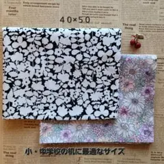 No.165　４０×５０ランチョンマット　２枚セット