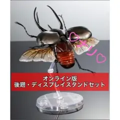 コーカサスオオカブト（ジャワ島）　いきもの大図鑑アドバンス　昆虫　生き物　ガチャ