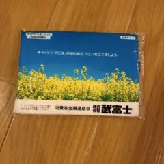 Item thumbnail for item 3333ddaf-49d1-47db-838f-0a5ae3b07a63