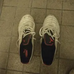 Puma サッカーシューズ ホワイト/ピンク