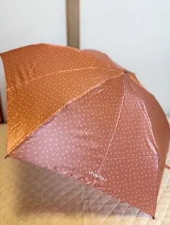 Item thumbnail for item f7488fa9-230c-4adf-8ee1-e681c38d7219