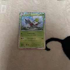 希少 シェイミ ビクティニ イオン限定 BW-P プロモ 233 234