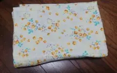 Item thumbnail for item 9ffa52bb-721a-4254-8cfb-8c2dad9dc9f8