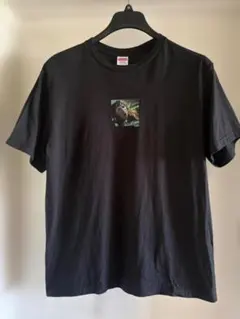 SUPREMEシュプリーム マイクケリー Tシャツ サイズM ソニックユース