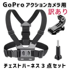 訳あり！　チェストハーネス マウント用バックル 接続ネジ 3点セット GoPro