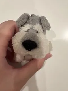 NICI シュナウザー ぬいぐるみ キーホルダー
