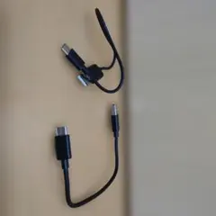 USB Type-C to Type-Aケーブル 2本 (1本SONY純正品)