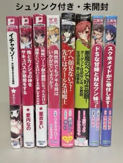美少女文庫ほか　８冊セット　フランス書院ほかのサムネイル