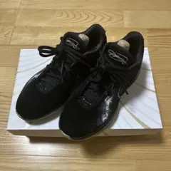 完売品　定価28,600円　レブロン21\"Conchiolin\" EP 28.5 Amazon | [ナイキ] レブロン 21 