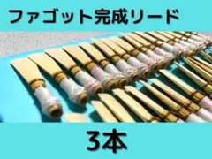 ファゴットリード（リーガー4本） ファゴットリード ビギナーズ – ウィンズスコア