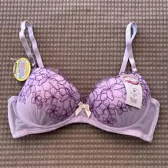 Item thumbnail for item 4d1a70b9-2ab3-4d63-88dd-9364cbc4bd92