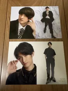 SnowMan 向井康二　データシート2枚セット