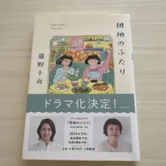 団地のふたり 藤野千夜著