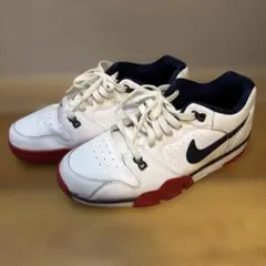 NIKE スニーカー 26.0㎝