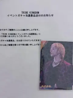山本彰吾 ミュージシャン