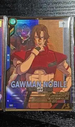 エルメス様　専売　ガウマン・ノビル