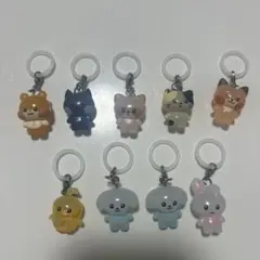 SKZOO SECRET MINI CHARM 本国ペンミ コンプ スキズ - メルカリ