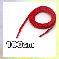 靴 ひも レッド 100cm 靴ひも スニーカー シューレース 赤 短め