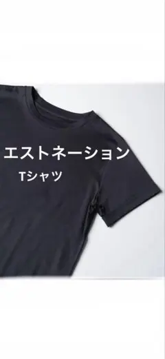 ESTNATION エストネーション　ハーフスリーブカットソー　ブラック38のサムネイル