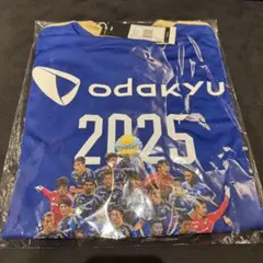 FC町田ゼルビア 2025 ユニフォーム XLのサムネイル