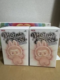 【正規品・未開封】ラブブ Big into Energy 2ピース