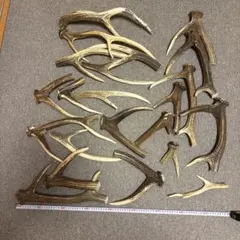 Item thumbnail for item 0046f8c2-be5f-4a59-b30b-4a1fef0ff95f