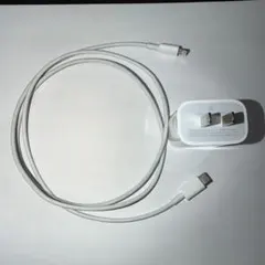 Apple純正 20W急速充電器 ＆ USB-C Lightningケーブル