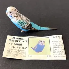 チョコエッグ ペット動物 第1弾 セキセイインコ ブルー 海洋堂
