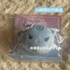 aespa カリナkarina To MY WORLDキャラクタークリップ - メルカリ
