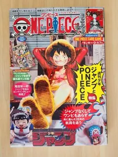 ONE PIECE ワンピースマガジン 20号 プロモ ルフィ 未使用