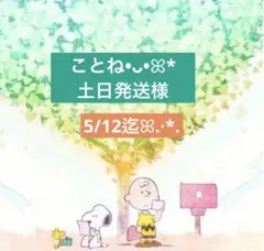 ことね•ᴗ•ꕤ*土日発送様 専用ページ