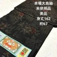 土日限定SALE！素晴らしい目玉 本場大島紬 泥大島 証紙付き 期間限定SALE価格！目玉商品 本場大島紬 泥大島 証紙付き 本場