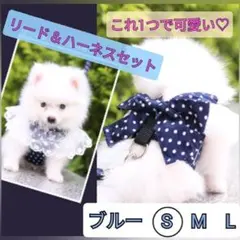 Item thumbnail for item 653369aa-4461-4ad7-a0ea-a311276bf808