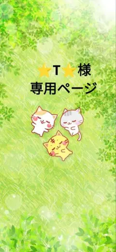 ⭐️T⭐️様専用ページ