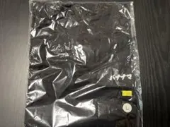 Item thumbnail for item e9268867-a311-4b30-be69-c1bc53b6d742