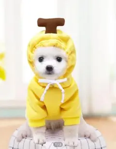 犬猫兼用　ペットドレス　Lサイズ