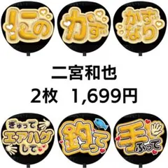 【匿名配送】二宮和也 嵐 ぷっくりファンサうちわ文字 2枚セット 48
