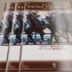 1/4 JRA レーシングプログラム 33