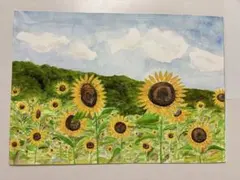 手描き水彩画　「ひまわり畑」