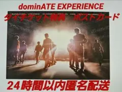 スキズ dominATE EXPERIENCE タイ 特典 ポストカード