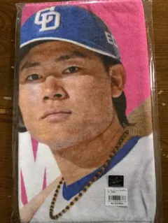 Item thumbnail for item d65905f6-167e-4595-8da4-5860c13a467a