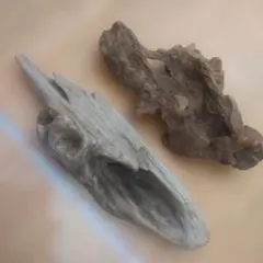 Item thumbnail for item a2362637-c22a-42a2-9cb7-b63432fac732