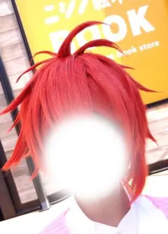 IDOLiSH7 アイドリッシュセブン アイナナ コスプレ ウィッグ 七瀬陸