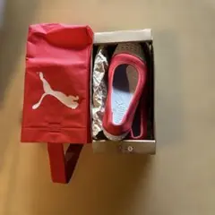 Item thumbnail for item 4894308a-01f9-4612-ac2a-b6683a240771