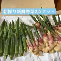 朝採り 新鮮野菜2点セットのサムネイル