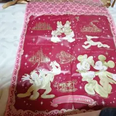 東京ディズニーリゾート キャラクターグッズ２点まとめ売り