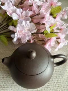 新品中国宜興茶壺単孔朱泥紫砂銘在り中国茶器 煎茶道具 - メルカリ