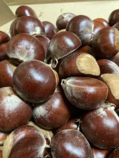 ちゃーたん様専用万点甘グリ　コンパクトボックス