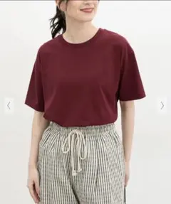 美品 ハニーズ きれいめTシャツ ハニさらのサムネイル